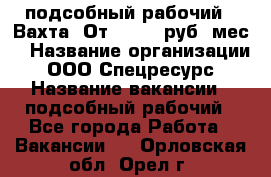 подсобный рабочий . Вахта. От 30 000 руб./мес. › Название организации ­ ООО Спецресурс › Название вакансии ­ подсобный рабочий - Все города Работа » Вакансии   . Орловская обл.,Орел г.